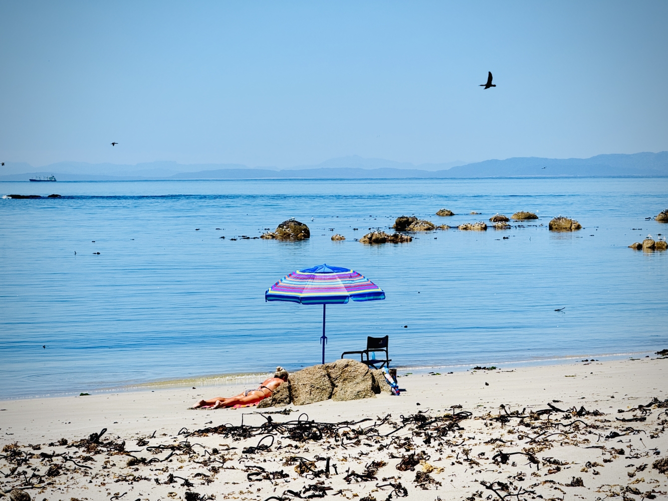 Road Tripping With The Knights - To See The Sea - West Coast Summer Part 6