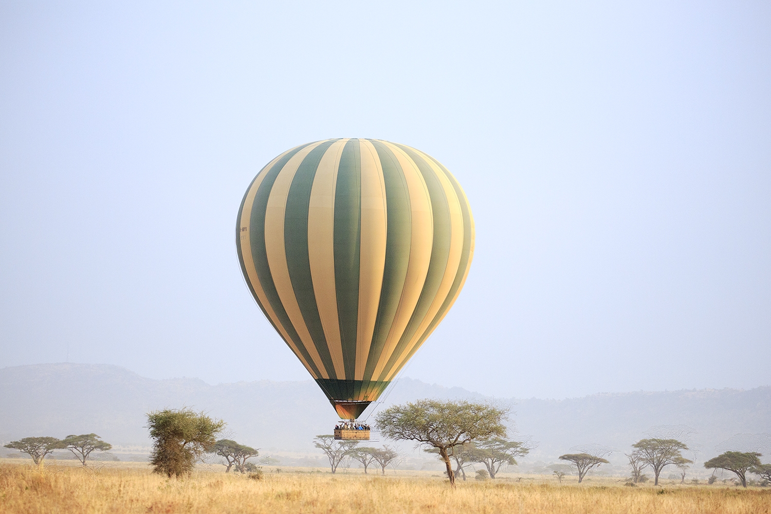 Serengeti - A Serendipitous Safari 