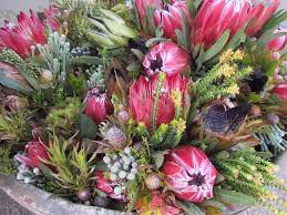 Silly Season Snapping at our Heels – It’s Market Day in Hermanus