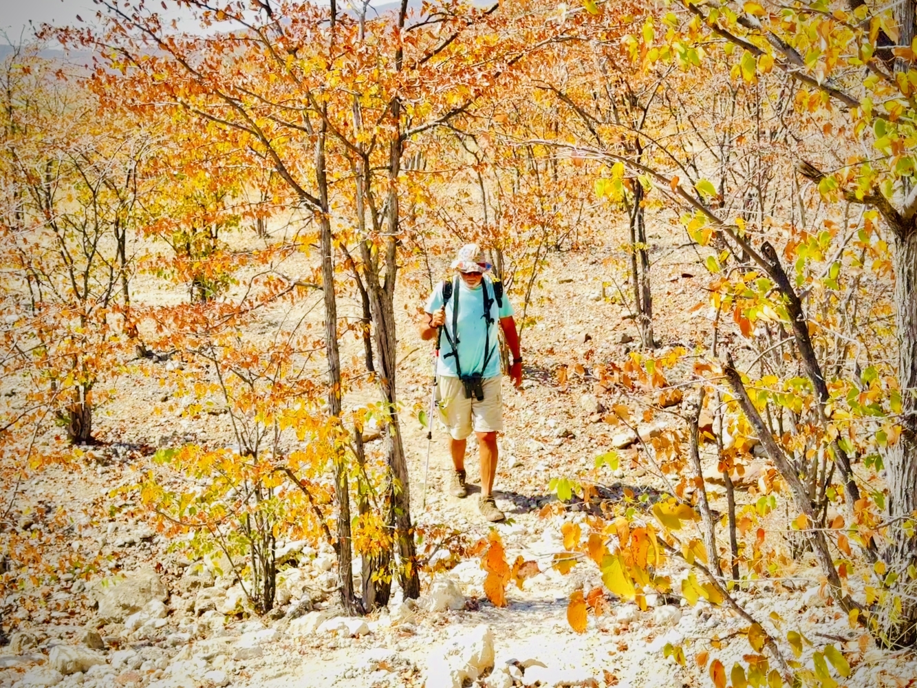 South Of The Border - Butch Leads The Way - From The Kunene To Epupa Falls