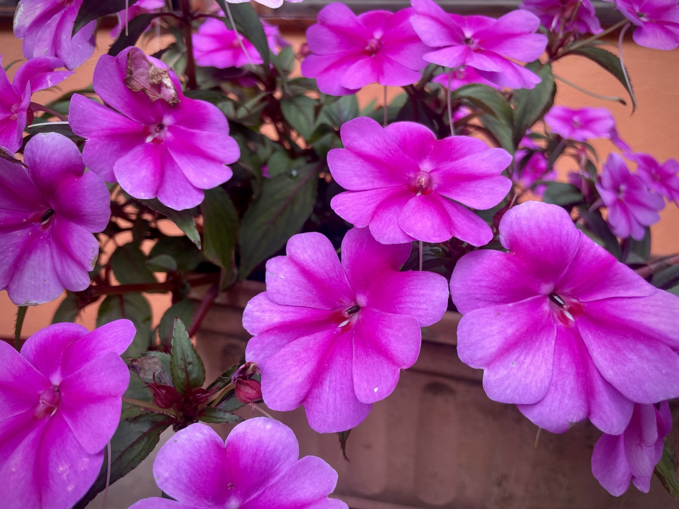 Spinning Clockwise At The Equator - Uganda Surprises