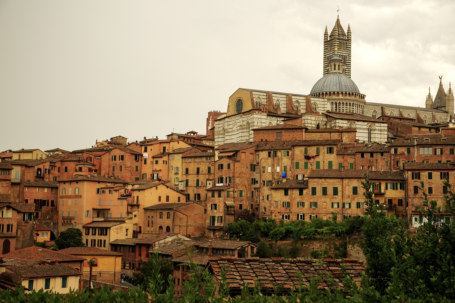 Suffusing My Senses In Siena