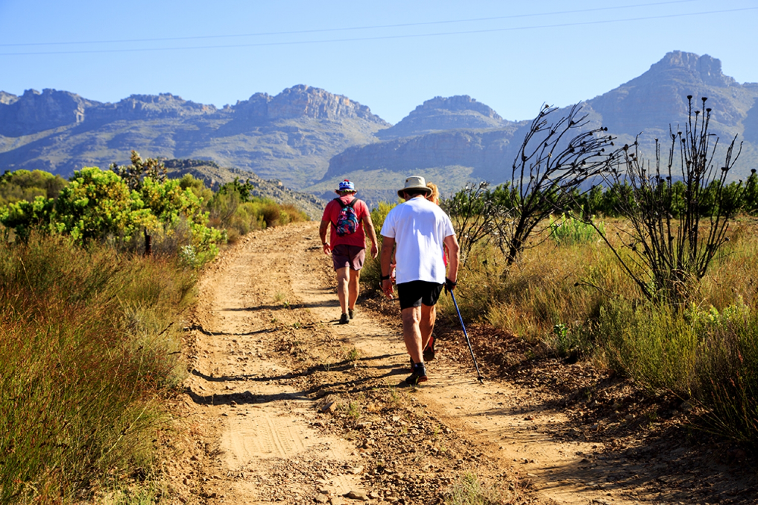 Suikerbossie Guest Farm Meander -  A Review