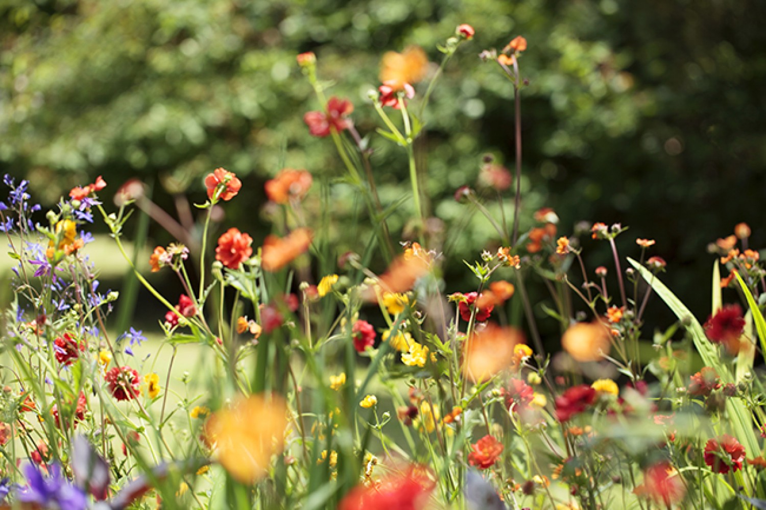 Surely Sundays Are Fun Days