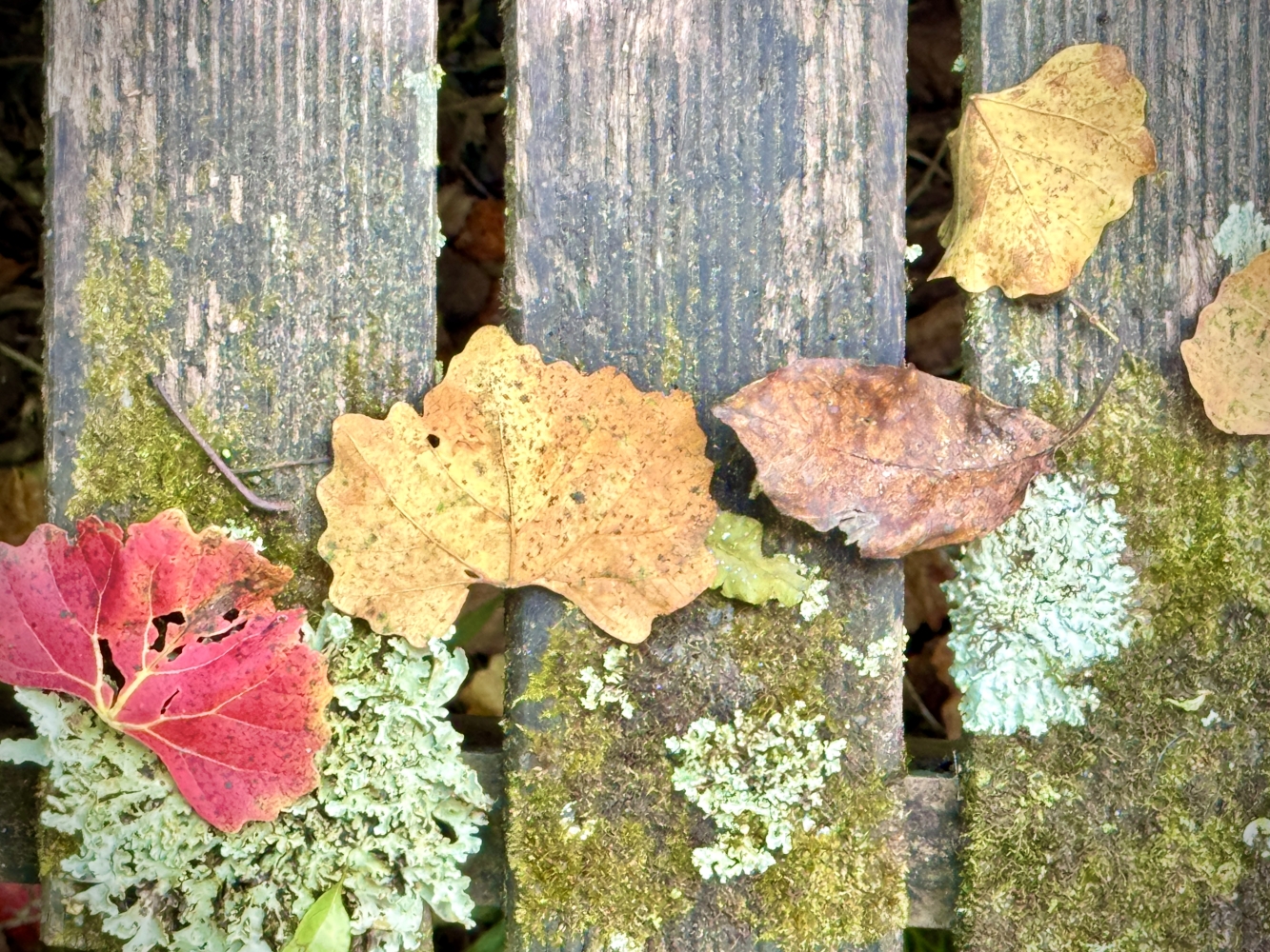 The Garden Route - Almost Full Circle - Summer Part 2