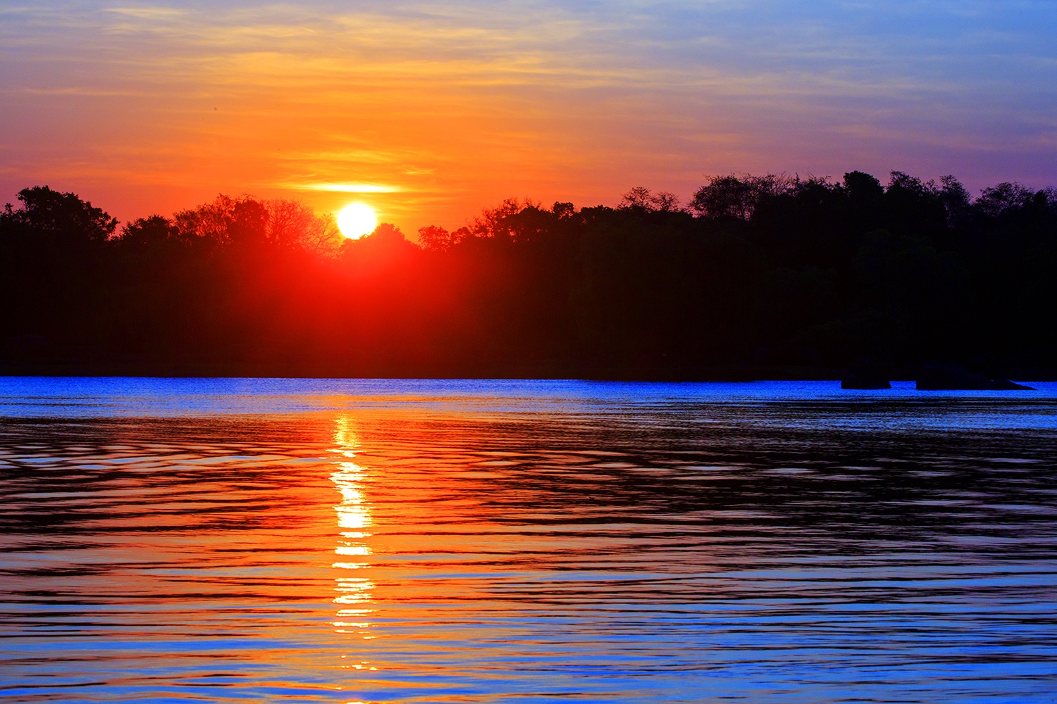 The Hippopotamus And Other Titillating Tales - Zambia Part 2