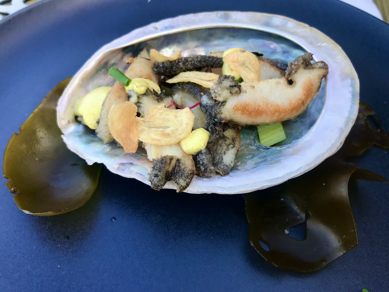 The Illusive Perlemoen And Where To Find It in Hermanus