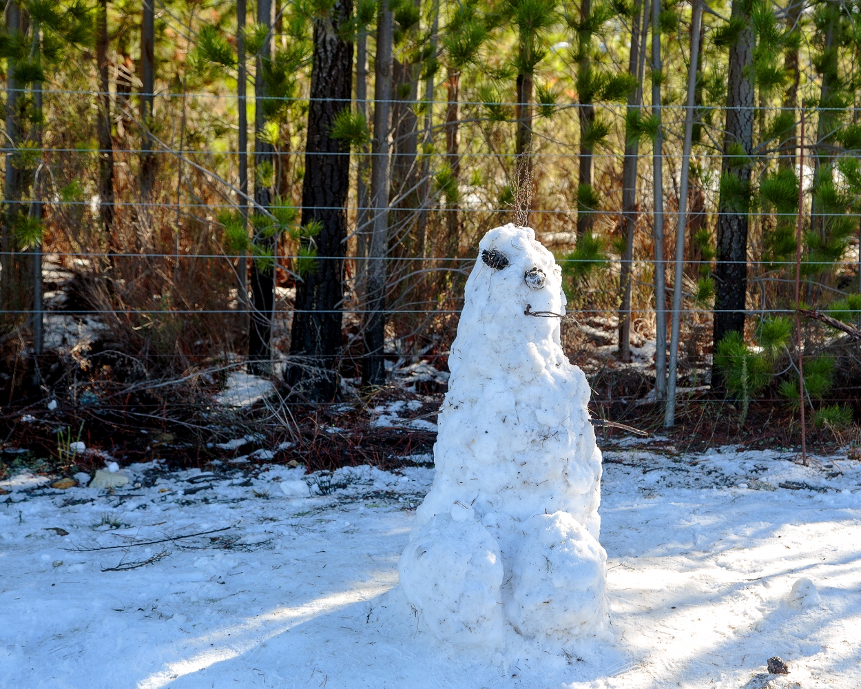 The Week According To Weatherman Pete