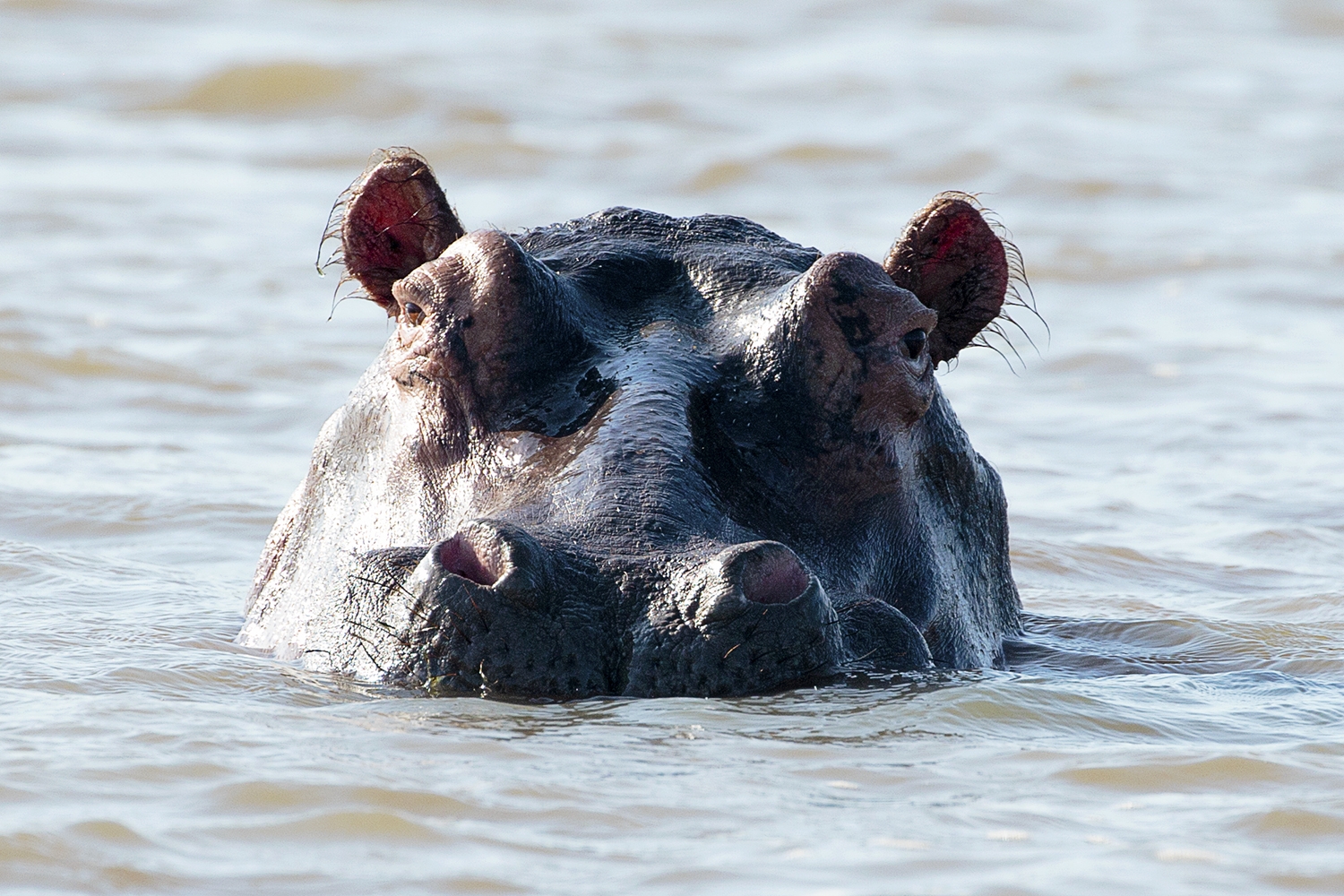 Wellies Or Winter Warmers -  A Trip To Lake Jozini