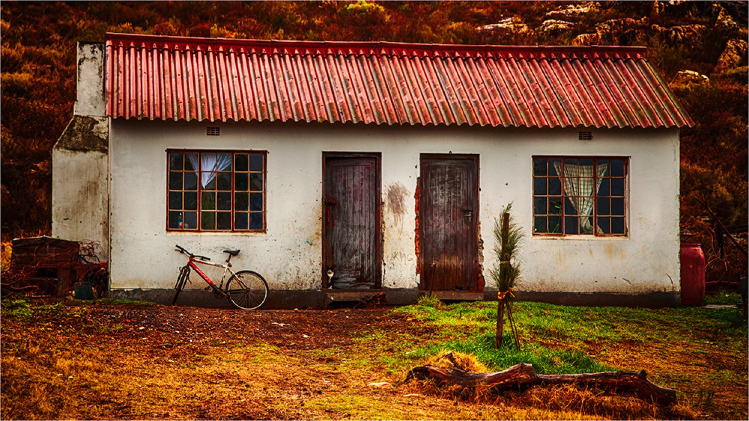 Wending Ways Through Baines Kloof