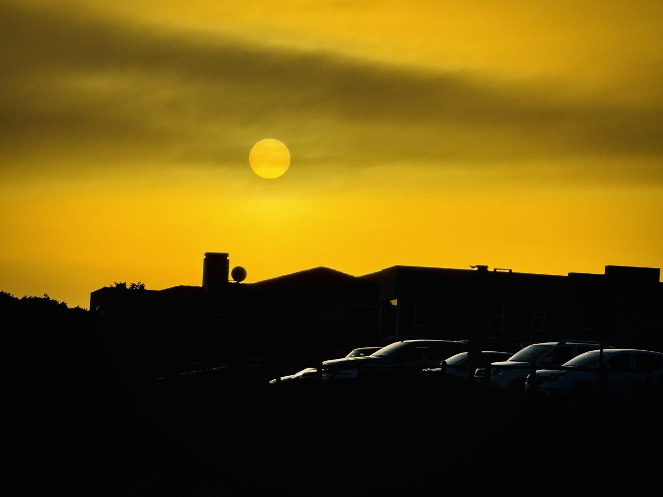 What’s Next? Going with the flow into turbulent (Muddied) waters