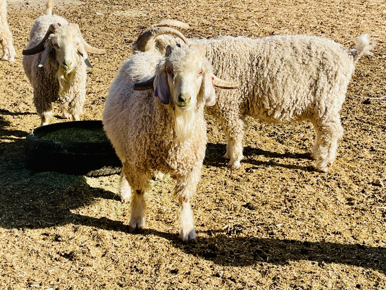 Whether we can, Weather we can’t!