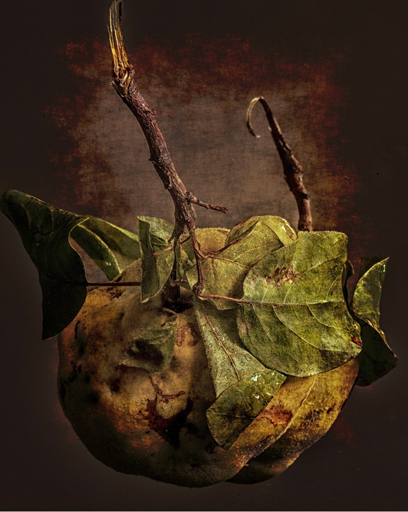 Winning Winter Warmers