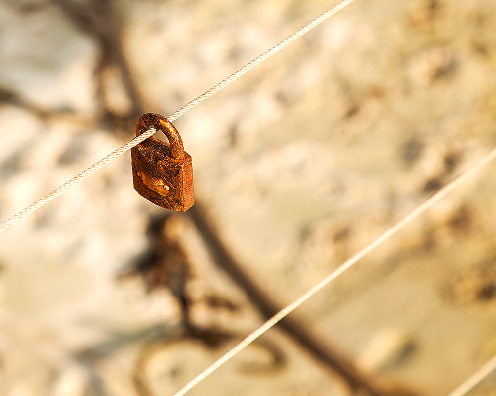 Winter Walks in Walker Bay