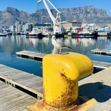 Cape Town Capers – Making The Most Of The Mother Of All Cities