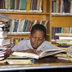 A Voice, Brains And Books