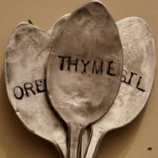 Pass Lee's Age Rose Merry and Time