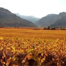 Hex River Valley Celebrating Autumn
