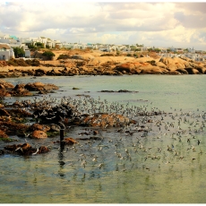 Oep ve Koep bistro Paternoster