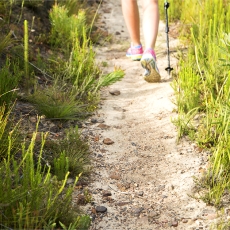 The Weakest Link Takes A Hike