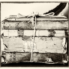 Can't Live Without Books