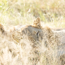 Friendship - There Is No Value