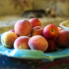 Juanita Conchita Margarita