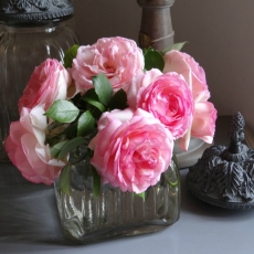 The Rollercoaster That Was February