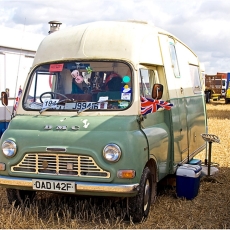 The Fearless Earl And The Honey Badger