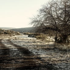 Sutherland's Freezing Landscape