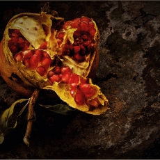 Curry Flavour When It Rains In November