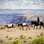 Lesotho – Semonkong Lodge – Spring Part 5