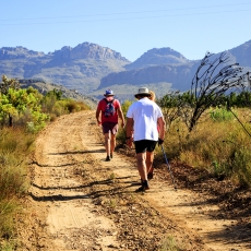 Suikerbossie Guest Farm Meander -  A Review