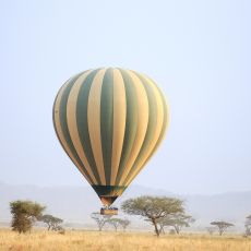 Serengeti - A Serendipitous Safari 