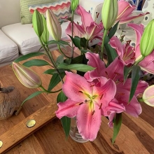 Nice to come home to these lilies in full bloom